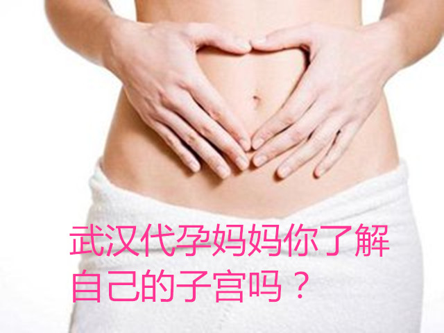 ���ݴ������˽��Լ����ӹ���