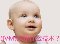 (IVM)����ʲô������