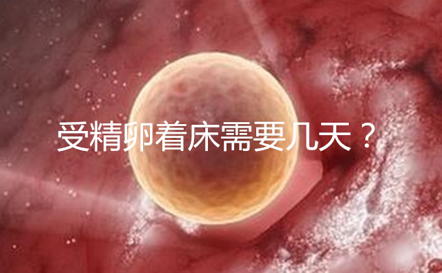 �ܾ����Ŵ���Ҫ���죿