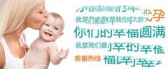 �ӹ���Ĥ�ڸ���ʱ�ڵı仯