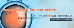 �Թ�Ӥ����ֲ������̥�ȽϺ�