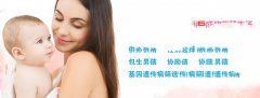 ���Ӧ����������